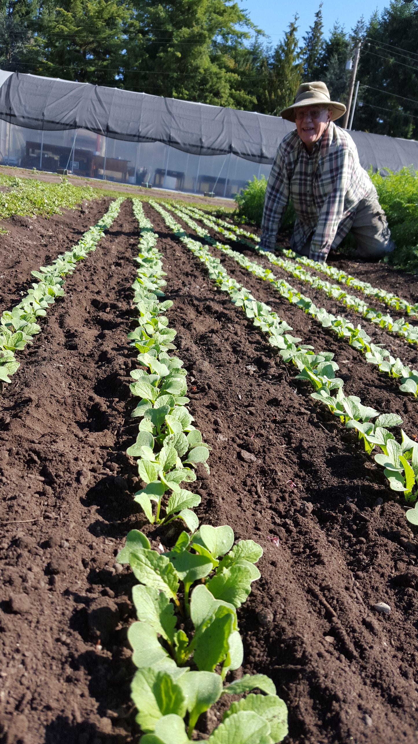 CSA Summer Share Late Sign Up