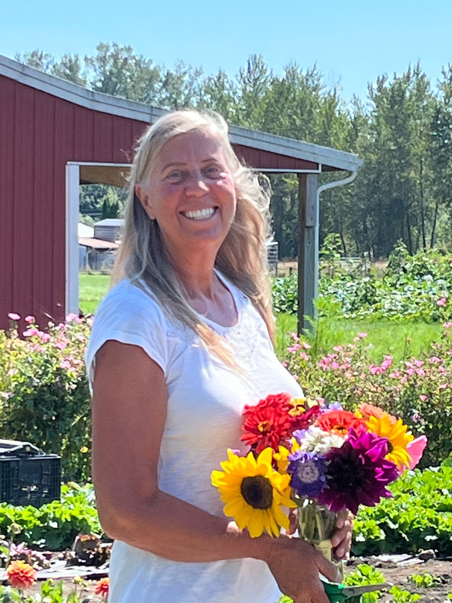 CSA Summer Share Late Sign Up