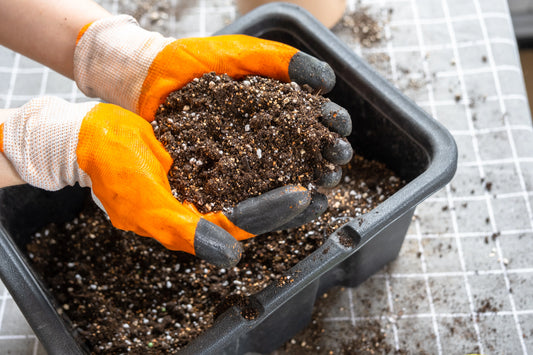 Soil